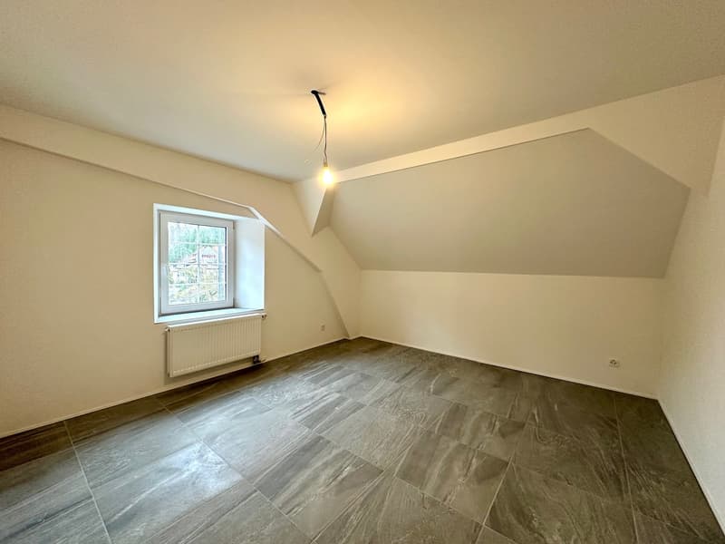 Maisontte-Wohnung mit grosser Terrasse (10)