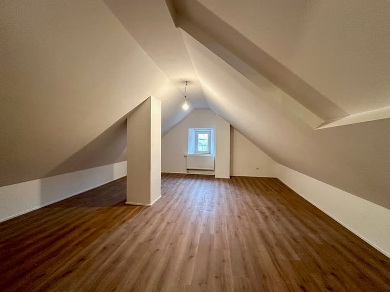 Maisontte-Wohnung mit grosser Terrasse (12)