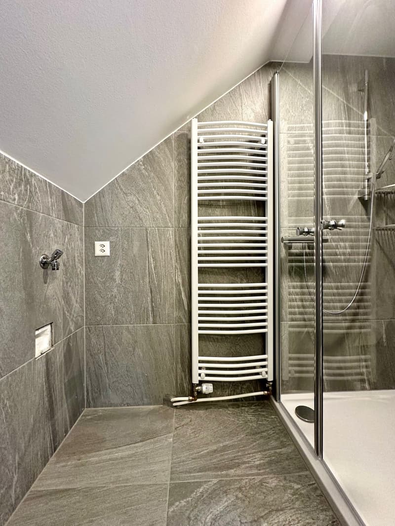 Maisontte-Wohnung mit grosser Terrasse (9)