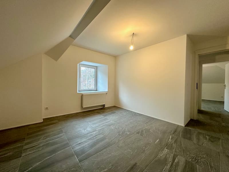 Maisontte-Wohnung mit grosser Terrasse (11)