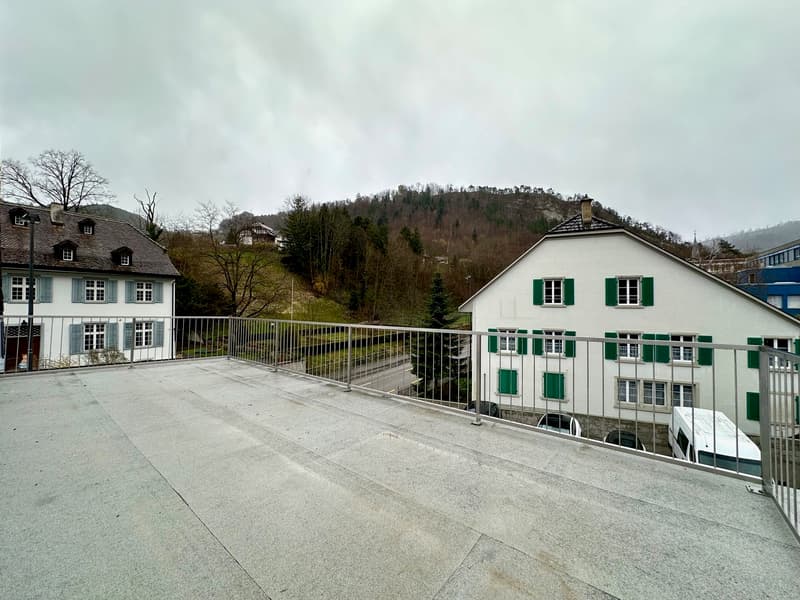 Maisontte-Wohnung mit grosser Terrasse (6)