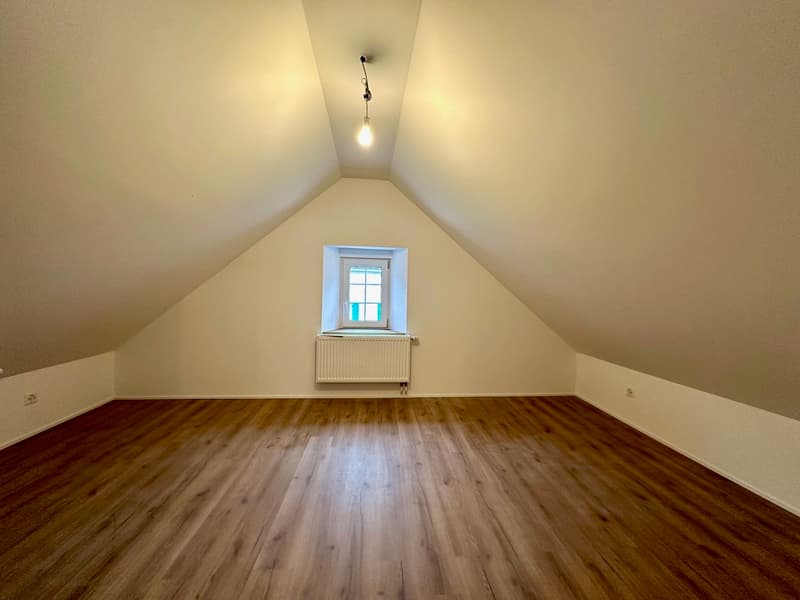 Maisontte-Wohnung mit grosser Terrasse (13)