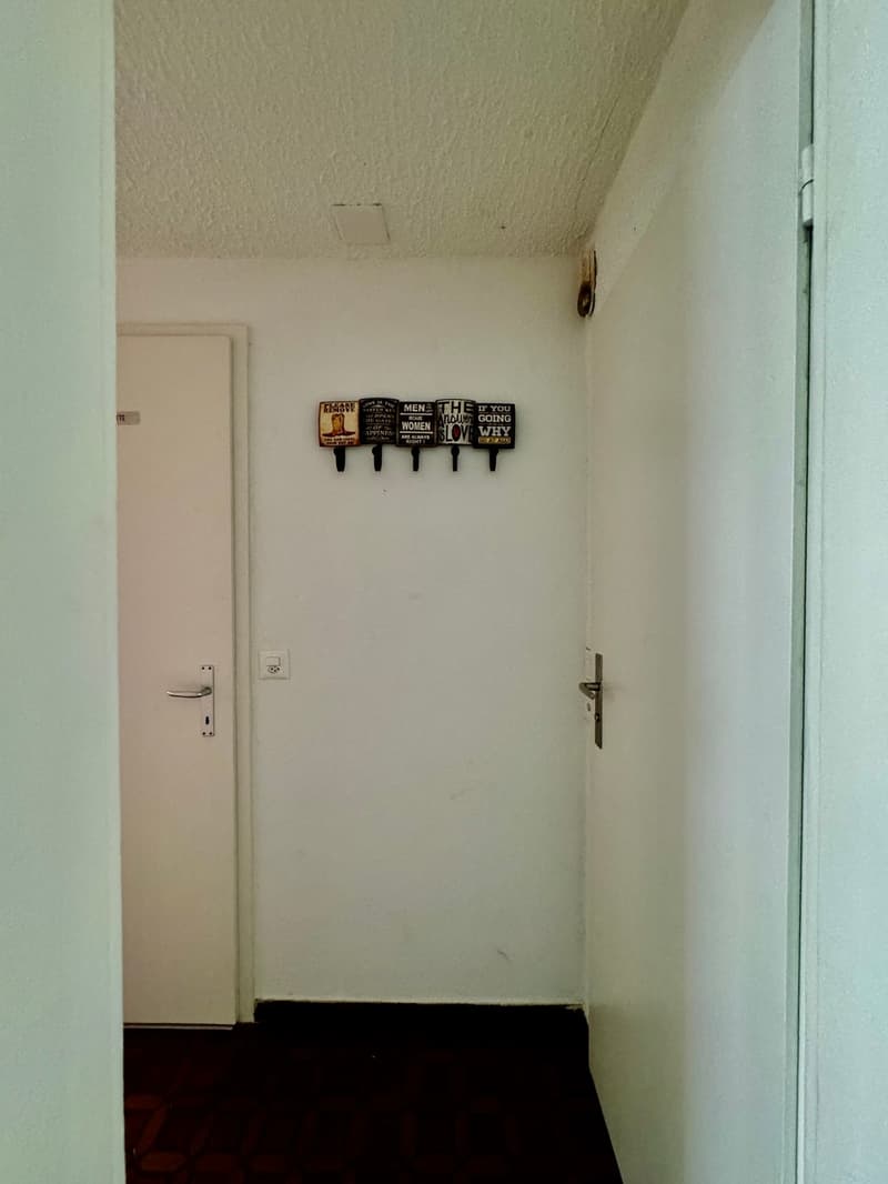 Eigenheim oder Renditeobjekt im Herzen von Basel (12)