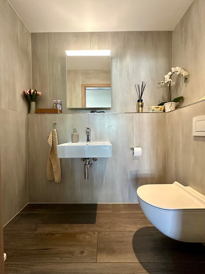 Moderne Designer-Attikawohnung mit Aussichtsterrasse (12)