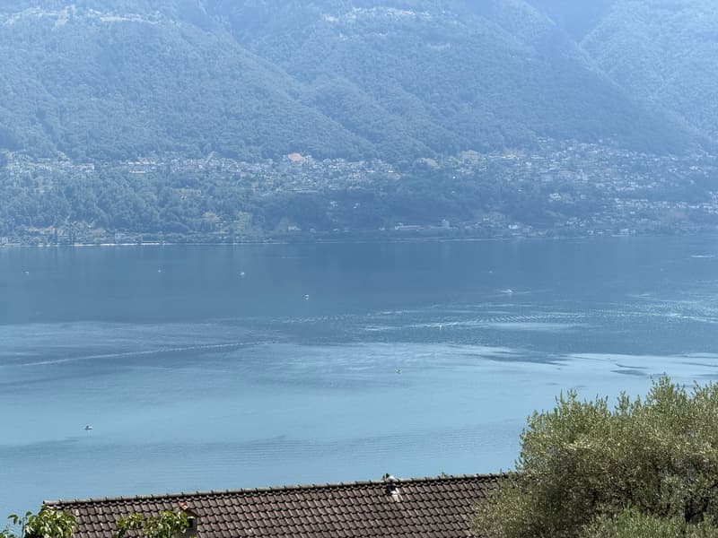 Luminoso appartamento di 2.5 locali a Brione sopra Minusio – Vista lago (6)