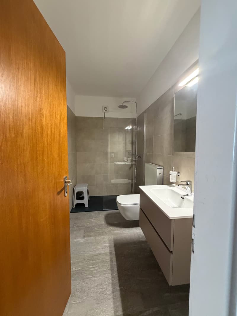 Luminoso appartamento di 2.5 locali a Brione sopra Minusio – Vista lago (2)