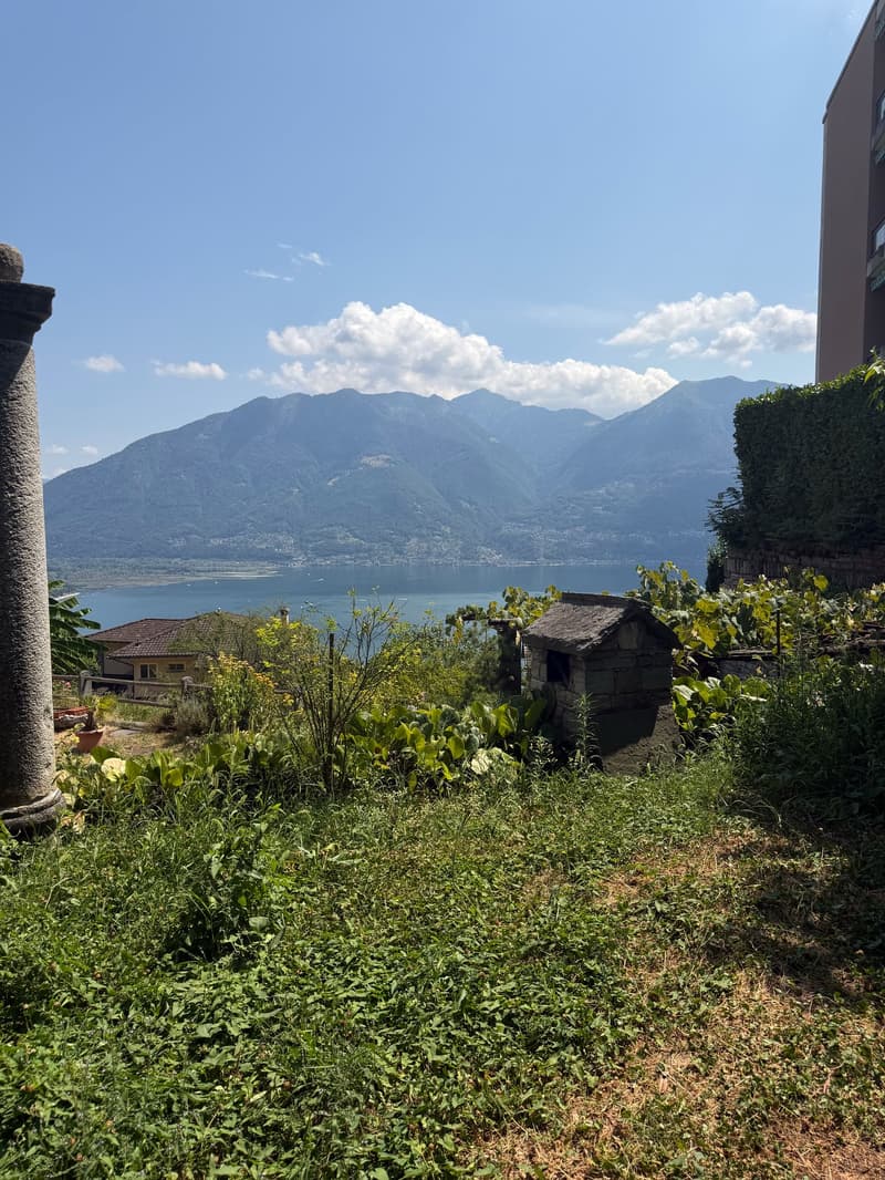 Luminoso appartamento di 2.5 locali a Brione sopra Minusio – Vista lago (8)