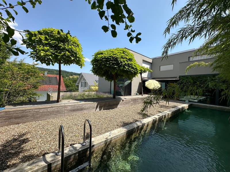 Luxuriöse Designer Villa mit Pool (5)