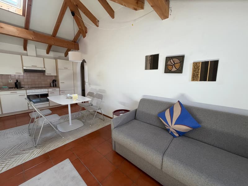 Elegante appartamento in vendita ad Ascona – 2 locali (1)