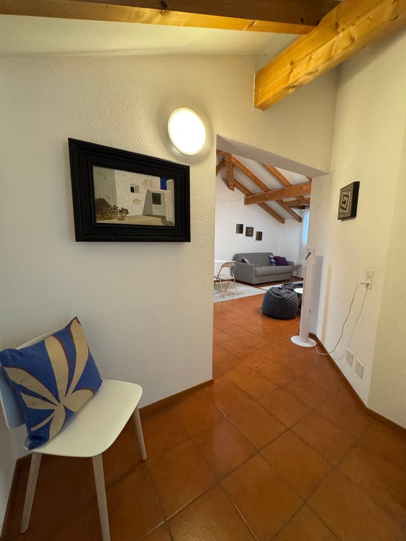 Elegante appartamento in vendita ad Ascona – 2 locali (4)