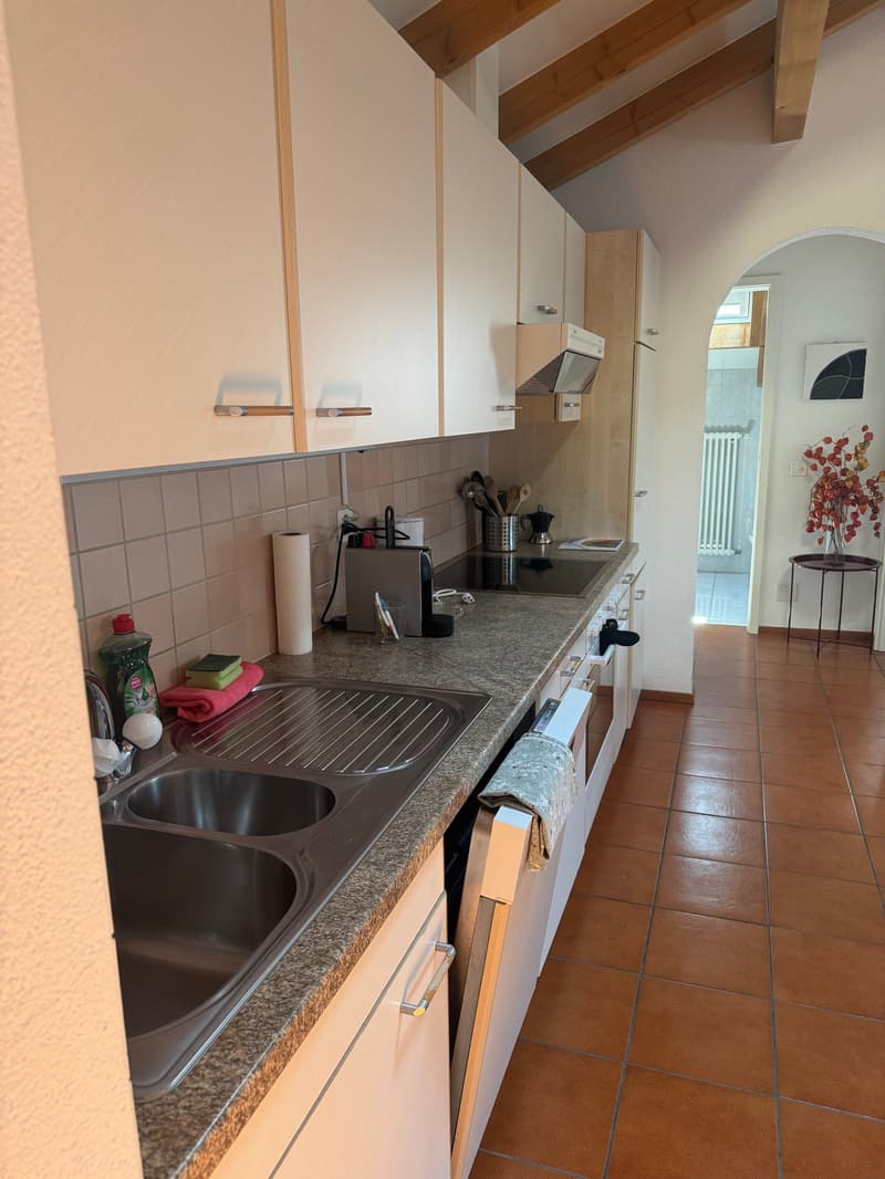 Appartamento Arredato con Vista Panoramica ad Ascona (7)