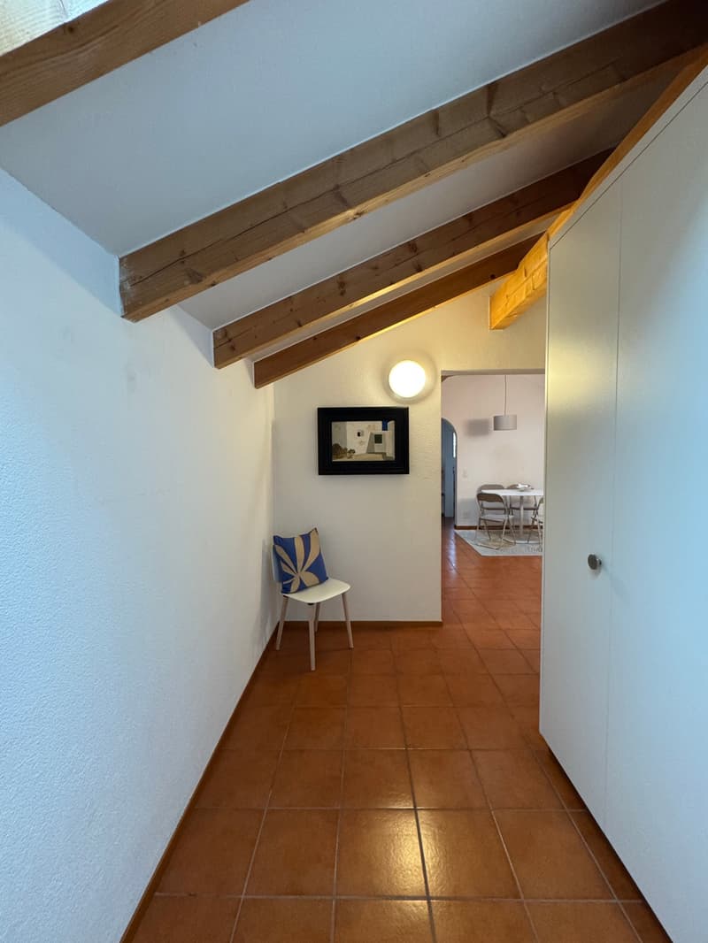 Appartamento Arredato con Vista Panoramica ad Ascona (2)