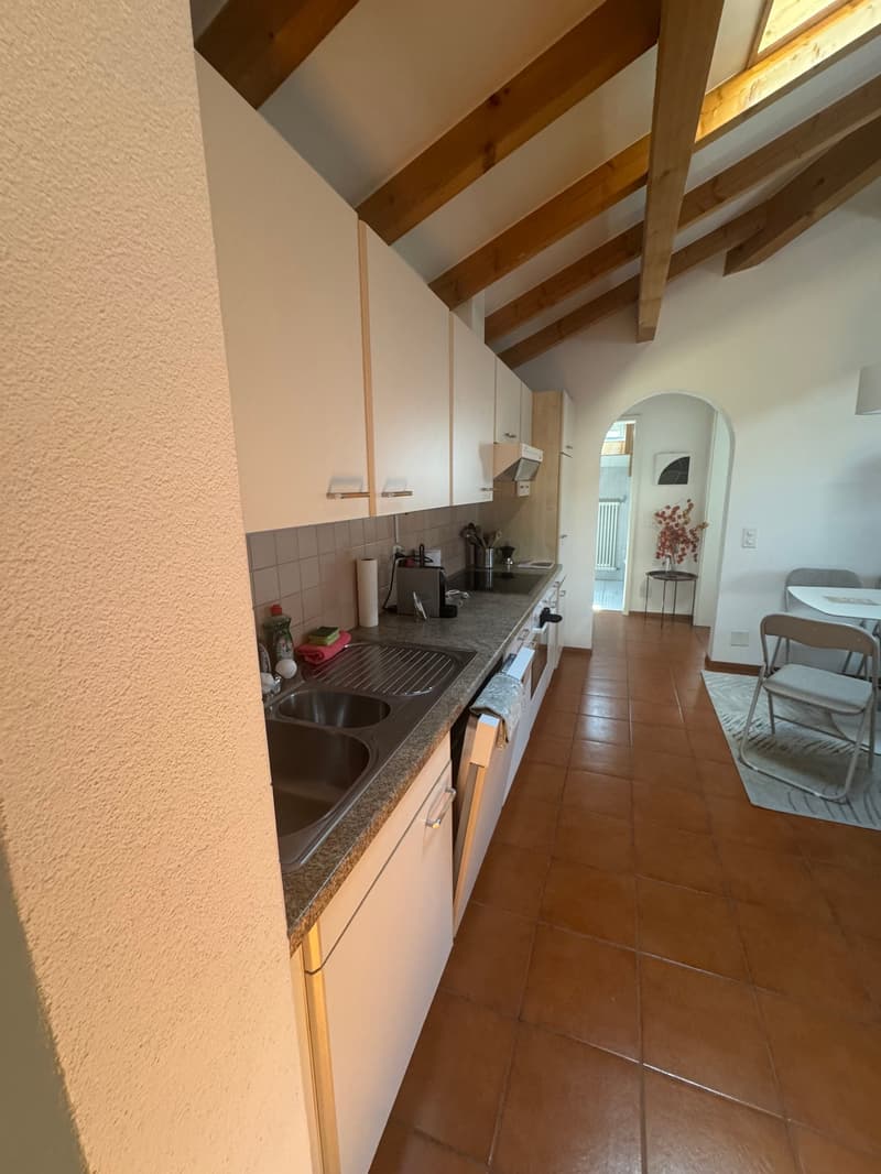 Appartamento Arredato con Vista Panoramica ad Ascona (6)
