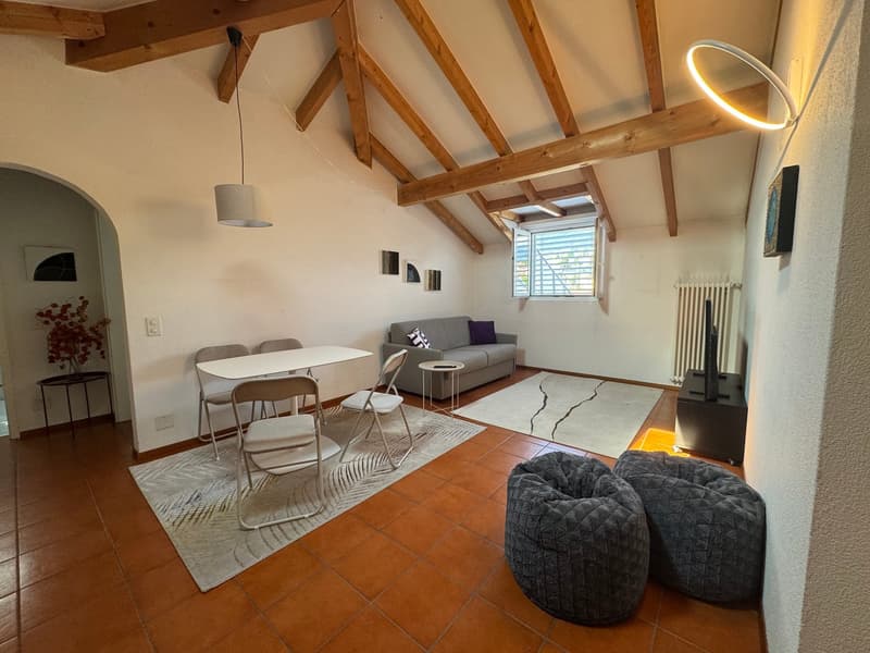 Appartamento Arredato con Vista Panoramica ad Ascona (11)