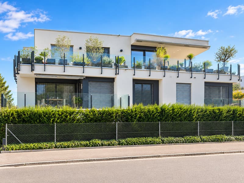 Wohntraum in Binningen - stilvoll, modern & hochwertig (1)
