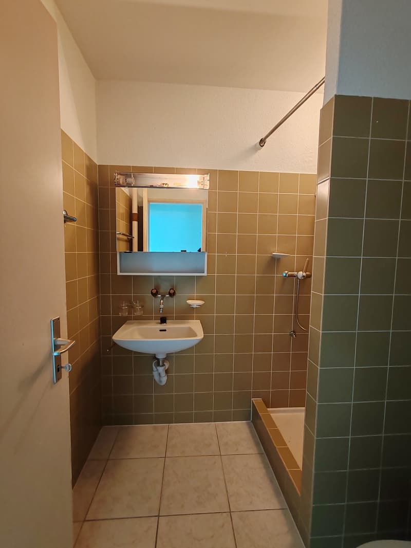 A bathroom with a sink, mirror, and shower area. Brown tile walls and floors.