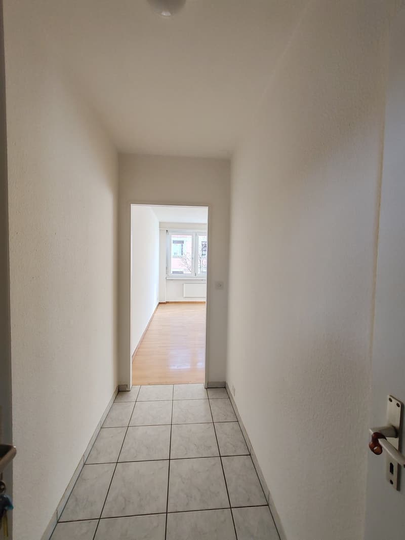 Charming 1-bedroom apartment with elevator in Basel (5)