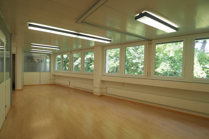 spacious room, wooden floors, glass doors, windows with views, florescent ceiling lights