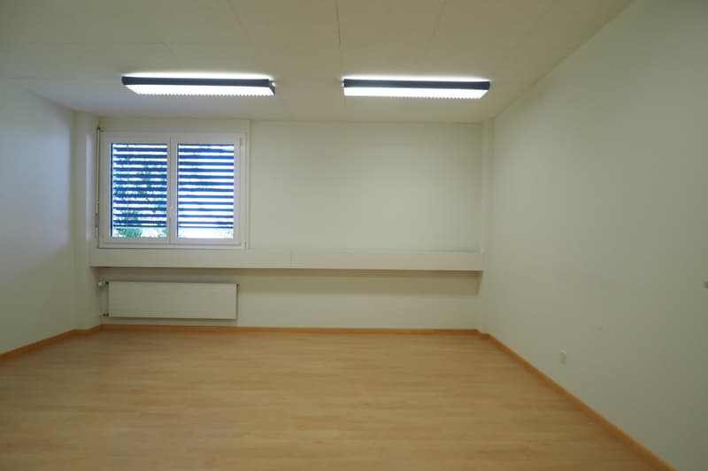 empty room, wooden floor, window with blinds, white walls, ceiling lights