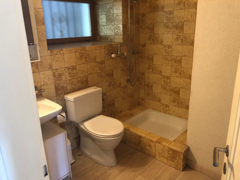 Charmante 4-Zimmer-Maisonette-Wohnung mit Kamin in Arisdorf (14)