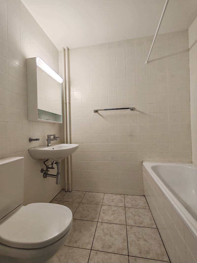 Zu vermieten 3-Zimmer-Wohnung in einem stilvollen Jugendstilhaus an der Dornacherstrasse 133 (11)