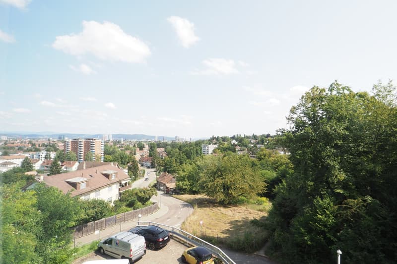 Aerial view of a neighborhood with houses, trees, and a winding road with parked cars.