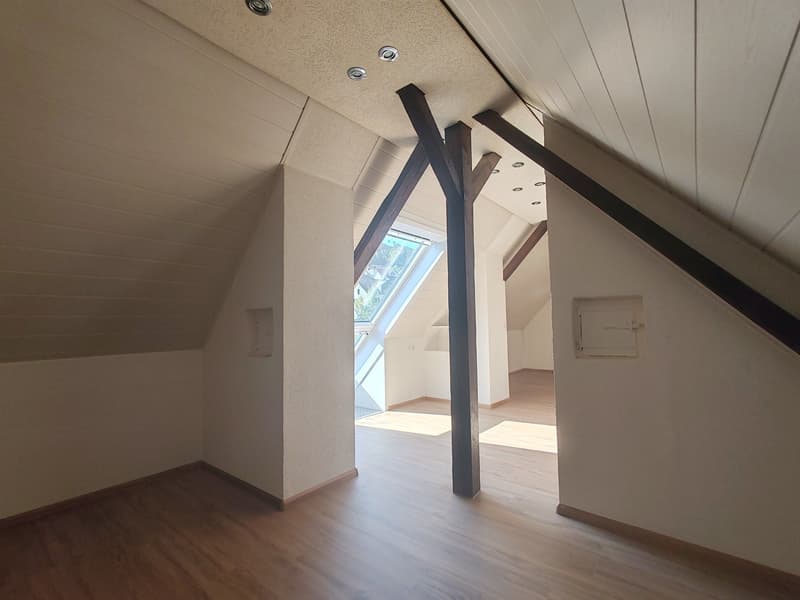 4-Zimmer-Maisonette-Wohnung  mit Blick auf die Birs (8)