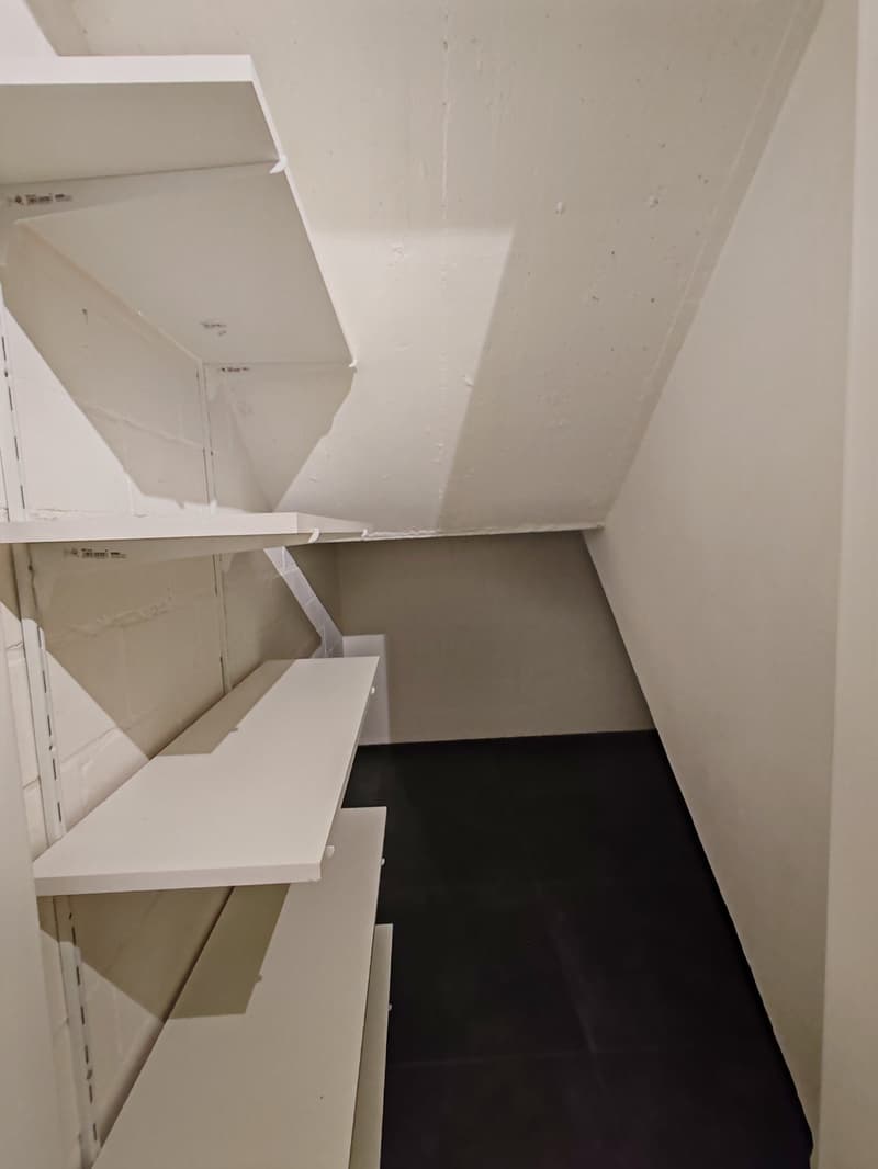 Exklusives 5½-Zimmer-Einfamilienhaus mit Garten, Balkon und Garage in Arlesheim (21)