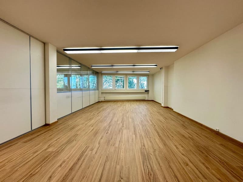 Grosszügige Bürofläche mit flexibler Raumaufteilung in Allschwil (1)