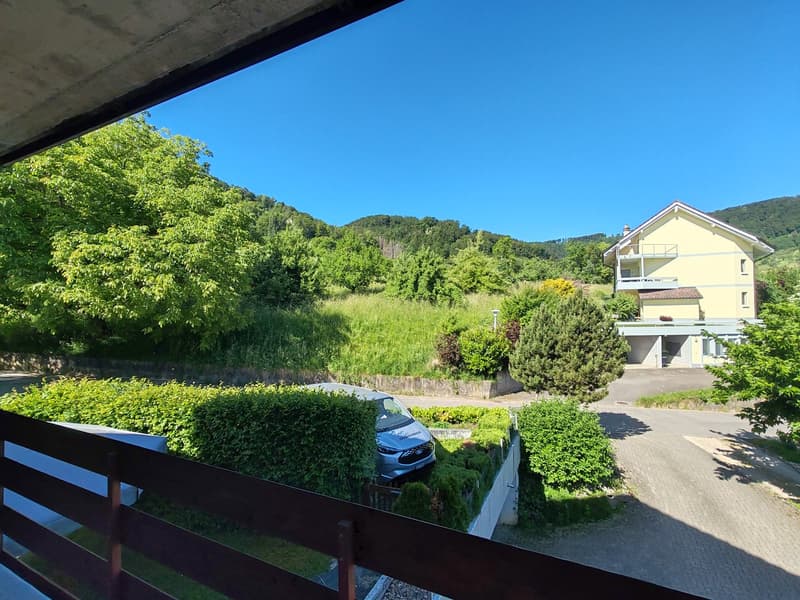 Erstbezug nach umfassender Renovation – Helle 4.5-Z.-Wohnung mit unverbaubarer Aussicht (11)