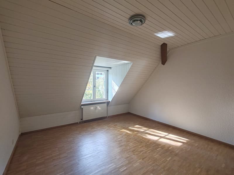 Frisch renovierte 4-Zimmer-Maisonette mit Birsblick in Grellingen (3)