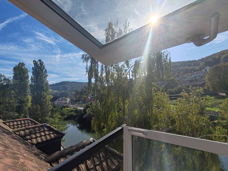 Frisch renovierte 4-Zimmer-Maisonette mit Birsblick in Grellingen (11)
