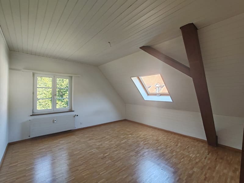 Frisch renovierte 4-Zimmer-Maisonette mit Birsblick in Grellingen (4)