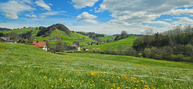 Scenic rural landscape with rolling green hills, scattered houses, and a blue sky with fluffy white clouds. The foreground is filled with a lush green meadow dotted with yellow dandelion flowers.