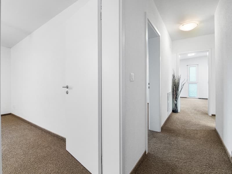 empty room, white walls, carpet floor, open doors, potted plant