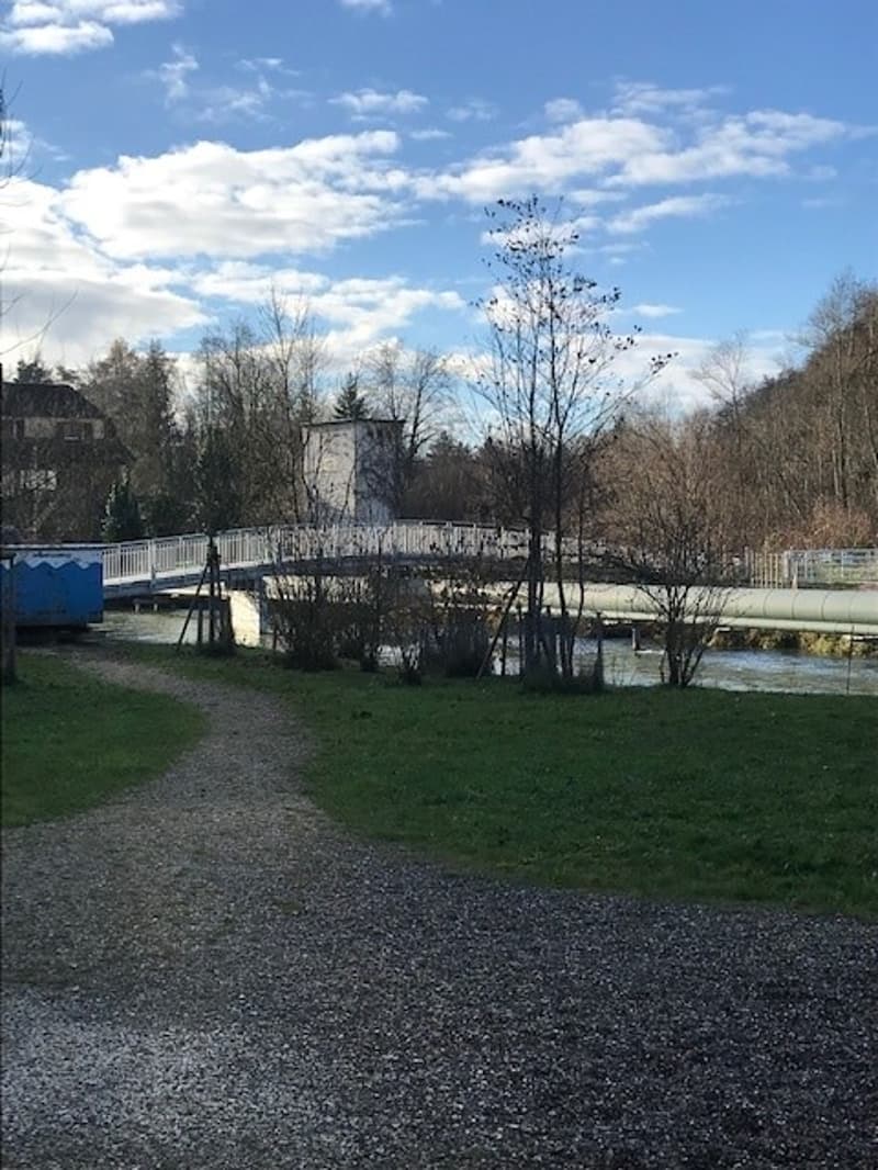Zweitbezug: moderne 4.5 Zimmer- Wohnung im Eigentumsstandard am Wasser mit Sicht ins Grüne (16)