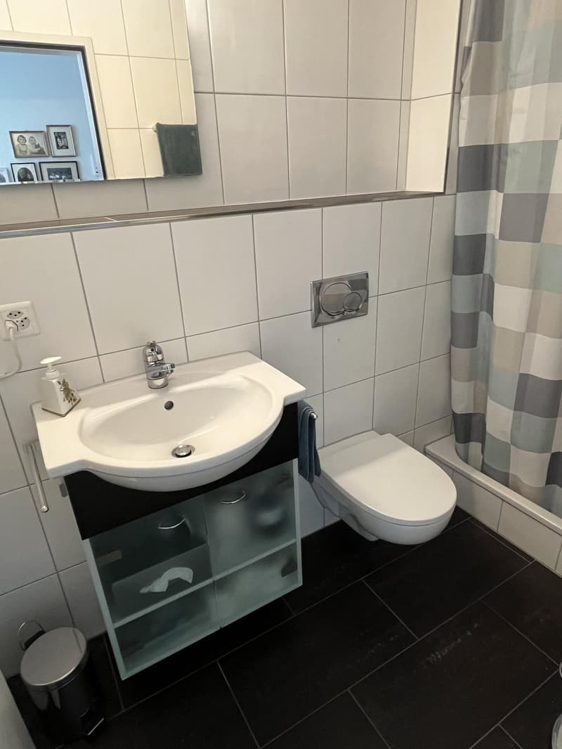 Geräumige 5-Zimmer-Wohnung mit Balkon und Bergpanorama in Aarau (6)