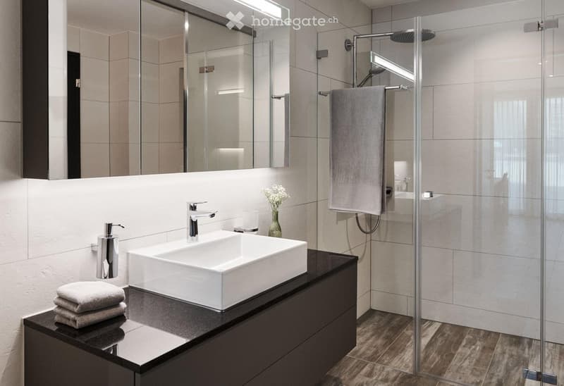 Wohnung in Dübendorf (6)