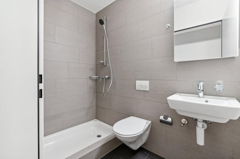 Helle 3.5-Zimmer-Wohnung mit Balkon und Aussicht in Adliswil (5)