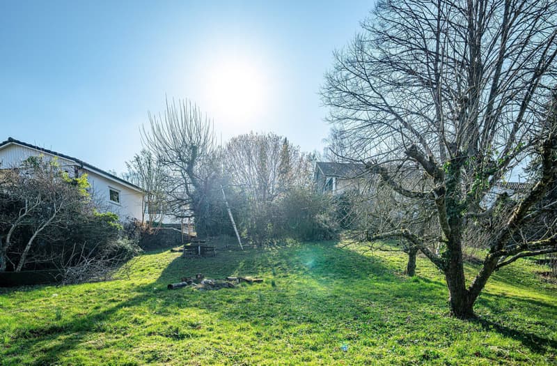 CHARMANTES GRUNDSTÜCK AN IDYLLISCHER LAGE MIT ZUKUNFTS- PERSPEKTIVE (6)