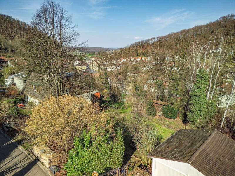 CHARMANTES GRUNDSTÜCK AN IDYLLISCHER LAGE MIT ZUKUNFTS- PERSPEKTIVE (7)