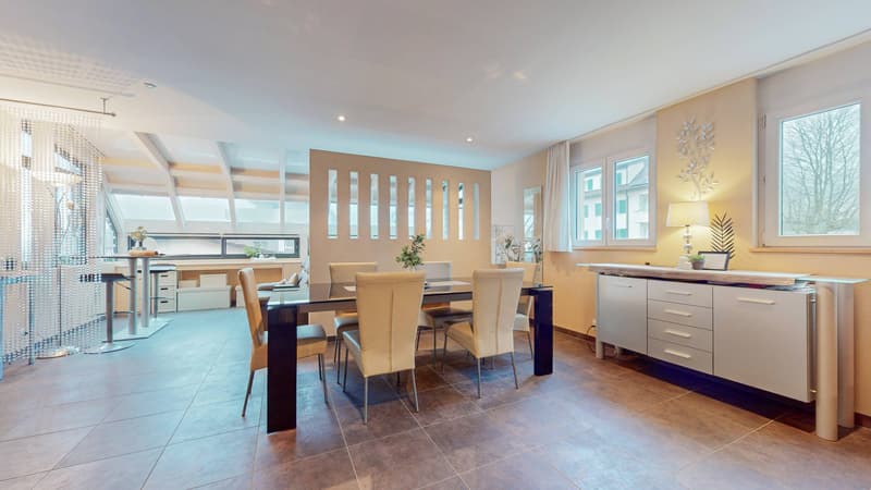 LARGE DUPLEX APARTMENT WITH YIELD STUDIO (4)
