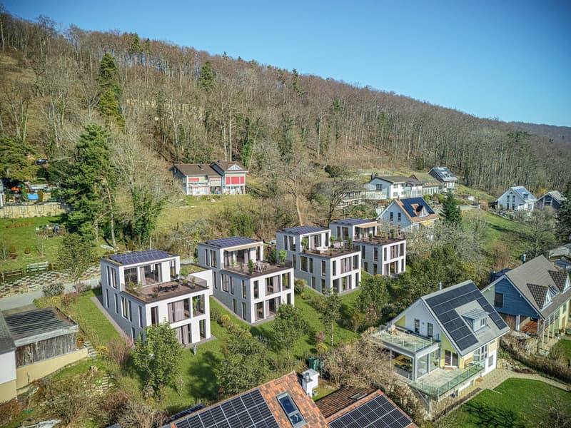 1'774 M² HOCHWERTIGES BAULAND MIT WEITSICHT (2)