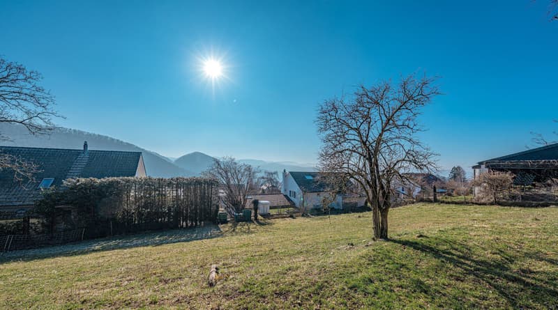 1'774 M² HOCHWERTIGES BAULAND MIT WEITSICHT (7)