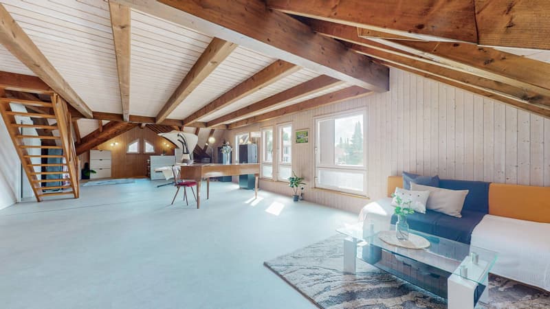 EIN HAUS, ZWEI WELTEN - LOFT UND EINLIEGERWOHNUNG IM DIALOG (6)