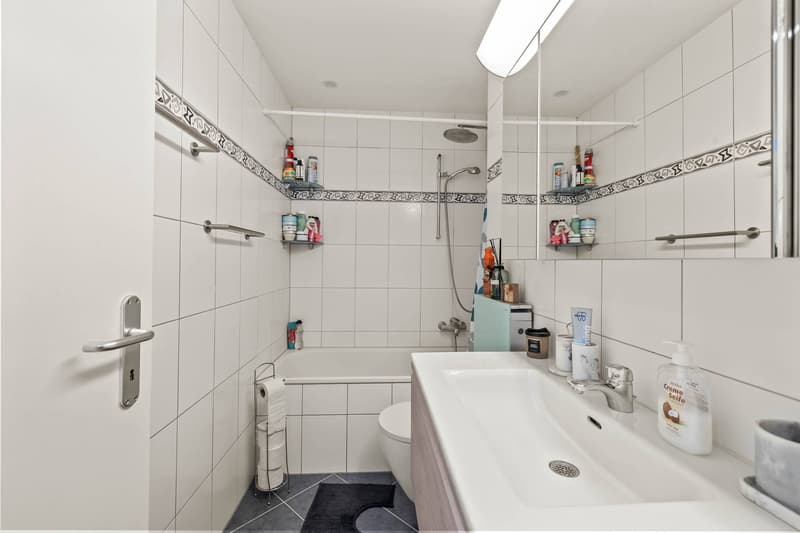 ILLNAU: 4.5-ROOM WITH CONSERVATORY & GARAGE (7)