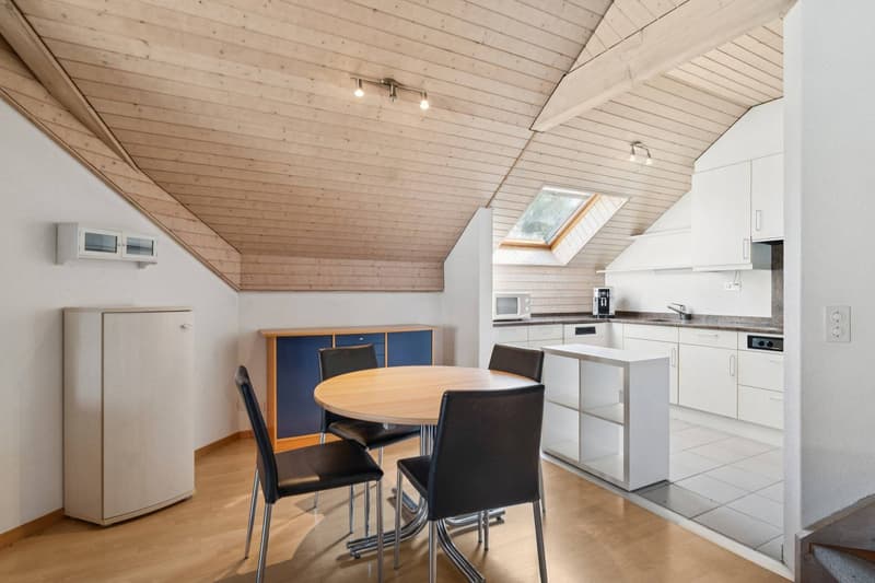 CHARMANT APPARTEMENT MANSARDÉ DANS UN ENDROIT CALME (7)