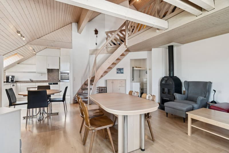 CHARMANT APPARTEMENT MANSARDÉ DANS UN ENDROIT CALME (5)