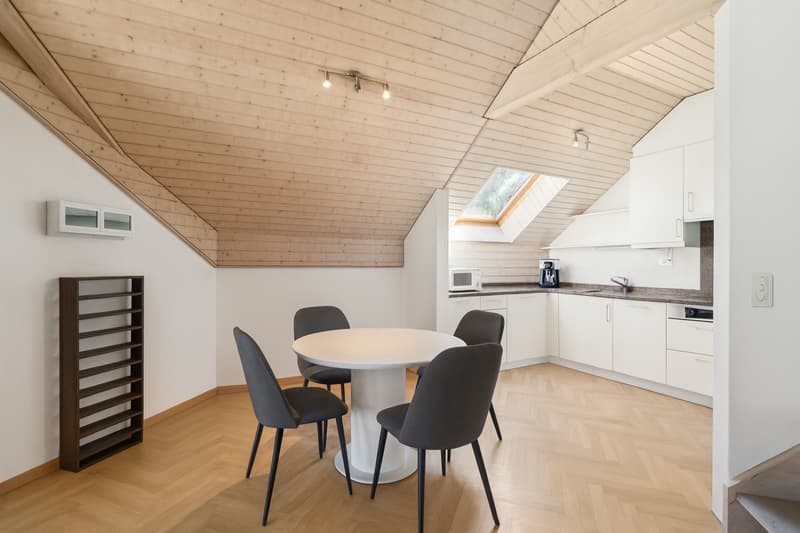 CHARMANT APPARTEMENT MANSARDÉ DANS UN ENDROIT CALME (3)
