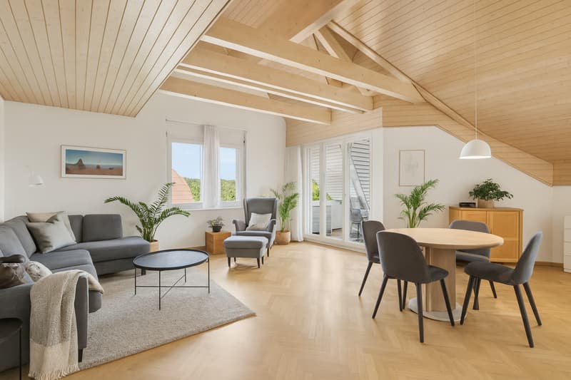 CHARMANT APPARTEMENT MANSARDÉ DANS UN ENDROIT CALME (2)